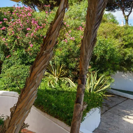 Apartment Cabopino-2 By Interhome